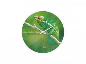 Часы настенные Nicole Time NT503 в Берёзовке - beryozovka.mebel-nsk.ru | фото